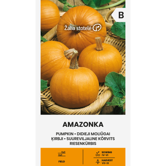 Ķirbji AMAZONKA, Ķirbju sēklas Amazonka