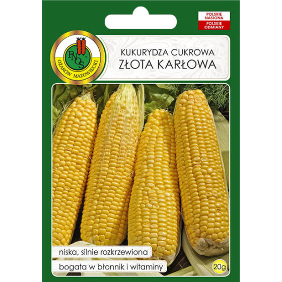 Kukurūza saldā Złota Karłowa, Kukurūzas sēklas