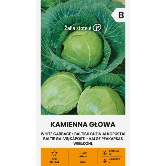 Baltie galviņkāposti KAMIENNA GLOWA