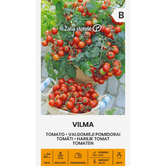Tomāti VILMA, Tomātu sēklas Vilma, Balkona tomāti, Balkonu tomāti