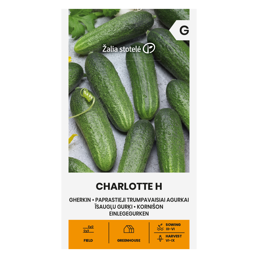 Gurķi CHARLOTTE H, Gurķu sēklas Charlotte, Gurķi Šarlote