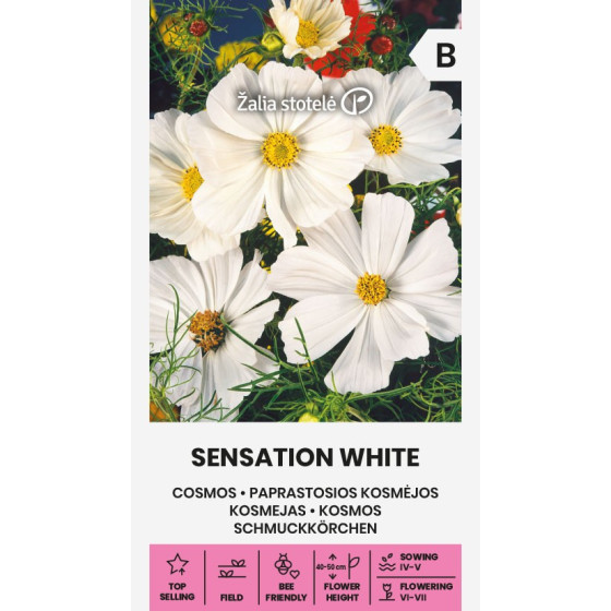 Kosmeja SENSATION WHITE, Kosmejas, Kosmeju sēklas