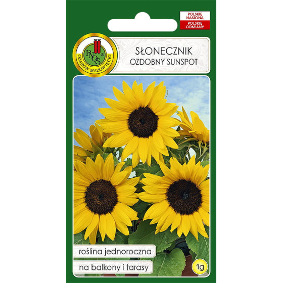 Saulespuķes, saulespuķu sēklas, Helianthus annus, saulespuķes pildītas