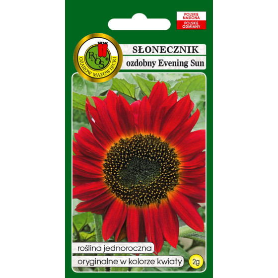 Saulespuķes, saulespuķu sēklas, Helianthus annus, saulespuķes pildītas