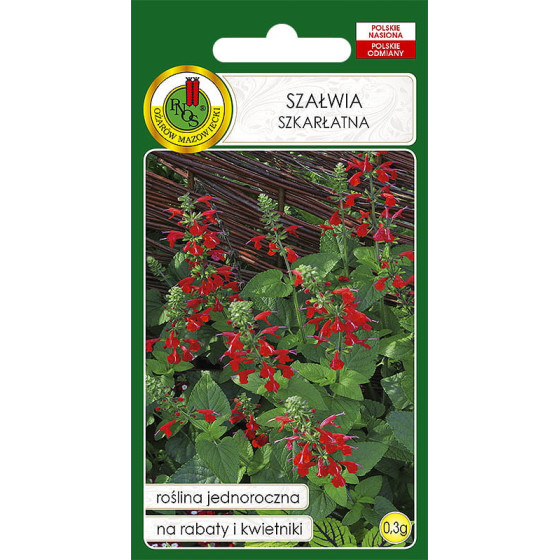 Salvijas, salviju sēklas, spilgtās salvijas, spilgto salviju sēklas, Salvia coccinea
