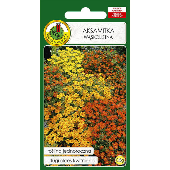 Samtenes smalklapu Starfire Mix, Smalklapu samtenes, Tagetes tenuifolia