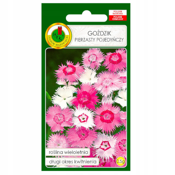 Neļķes spalvu Mix, Spalvu neļķes, Dianthus plumarius