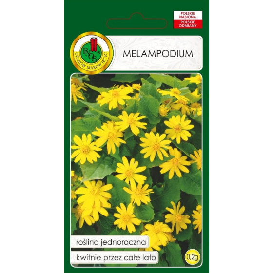 Melampodija krastmalu, Krastmalu melampodija, melampodiju sēklas