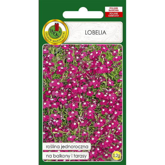 Lobēlijas Rosamond, lobēliju sēklas, nokarenās lobēlijas