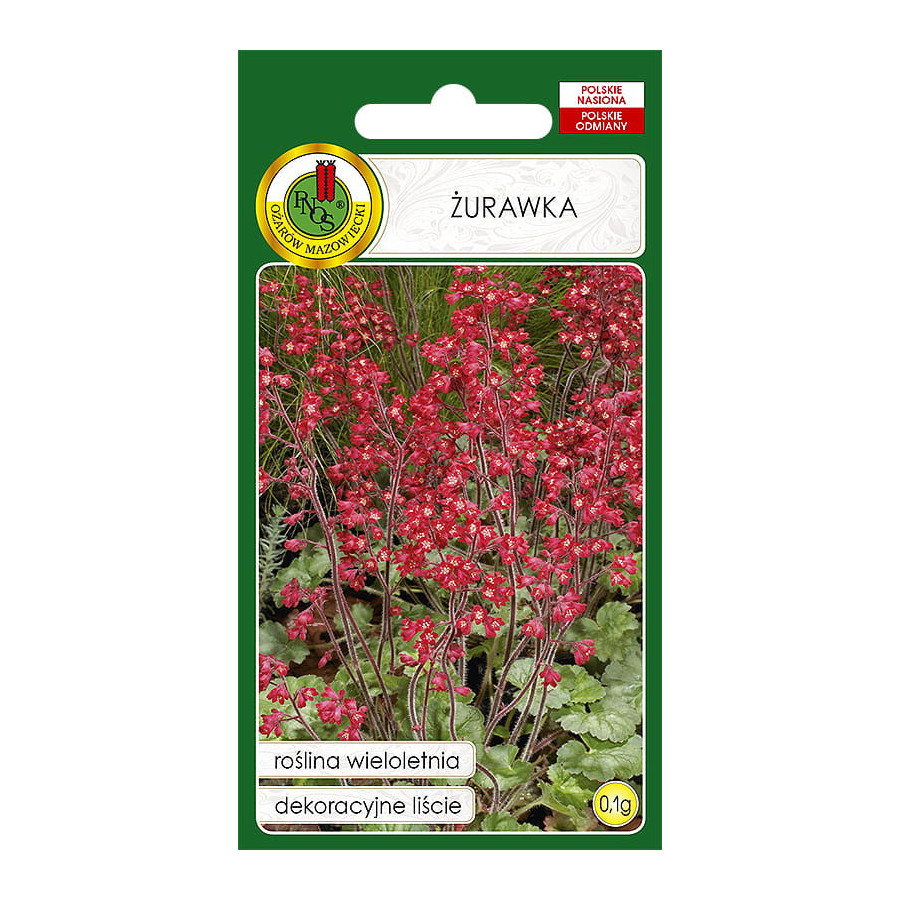 Heihēra, Heihēras sēklas, Asinssarkanā heihēra, Puķu sēklas, Heuchera sanguinea, Sēklas