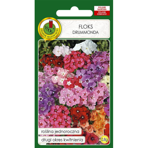 Flokši, Drumonda flokši, Flokšu sēklas, Phlox drumondii, Zemie flokši, Phlox drumondii