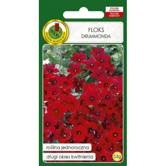 Flokši, drumonda flokši, flokšu sēklas, phlox drumondii, zemie flokši, drumonda floksis