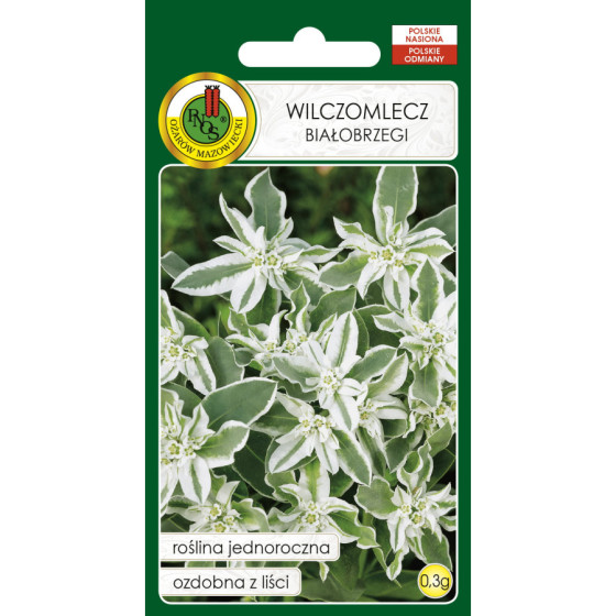 Eiforbija apaļmalu, Eiforbijas, Euphorbia marginata, Apaļmalu eiforbijas sēklas