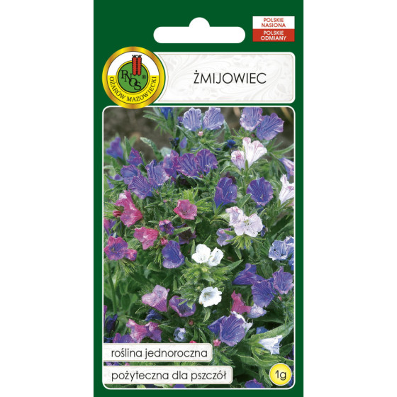 Daglītis ceļmallapu, Daglīša sēklas, Echium plantagineum