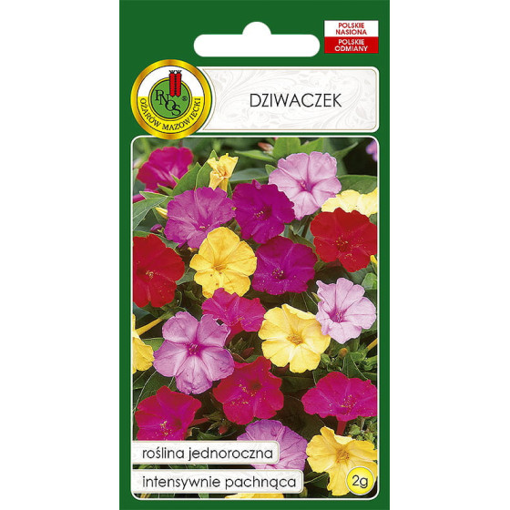 Brīnumpuķe (Mirabilis), Mirabile, Brīnumpuķes sēklas, Mirabiles sēklas, Mirabilis jalapa