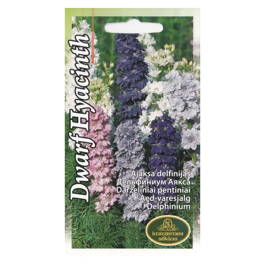 Delfīnijas Ajaksa Dwarf Hyacinth 0.5g (KS)