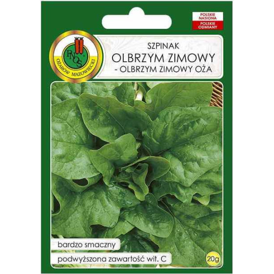 Spināti Olbrzym Zimowy, Ziemas spināti, Ziemas spinātu sēklas