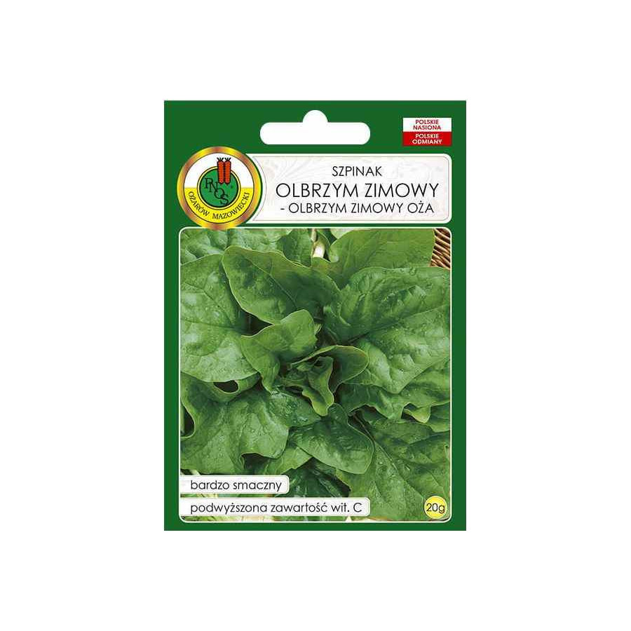 Spināti Olbrzym Zimowy, Ziemas spināti, Ziemas spinātu sēklas