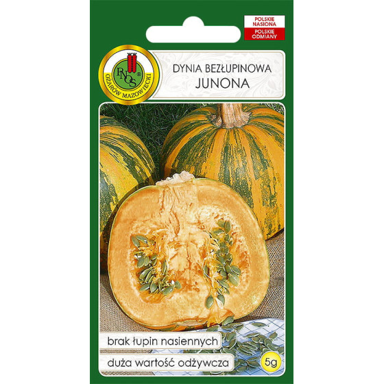 Kailsēklu ķirbis Junona, Ķirbji kailsēklu, Ķirbju sēklas