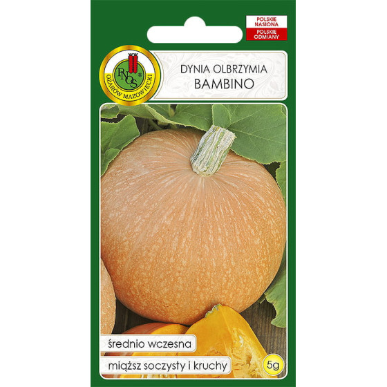 Ķirbis Bambino, ķibju sēklas Bambino, Ķirbju šķirne Bambino, Ķirbji