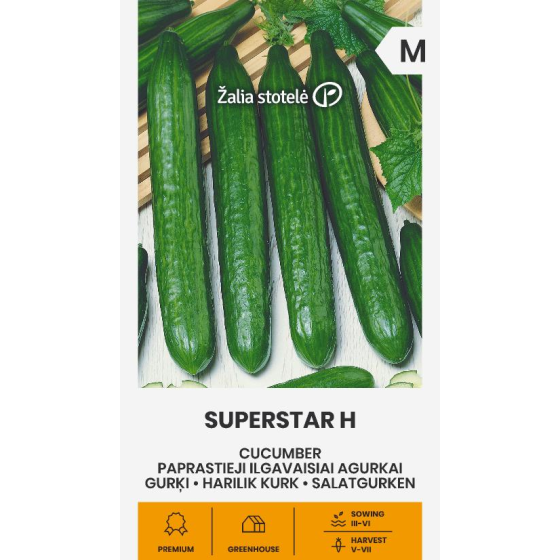 Gurķi SUPERSTAR H, Gurķu sēklas Superstar H, Garie gurķi