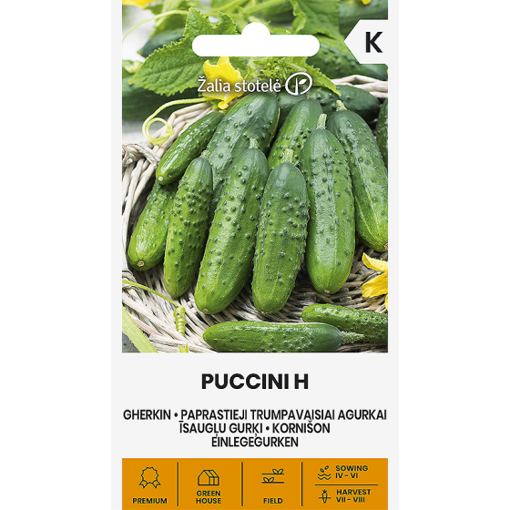 Gurķi PUCCINI, Gurķu sēklas PUCCINI