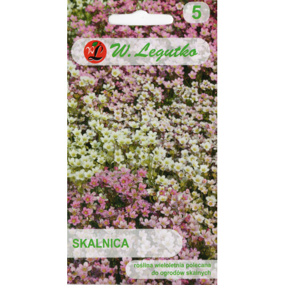 Ārendsa akmeņlauzīte, Akmeņlauzītes sēklas, Akmeņlauzītes, Saxifraga