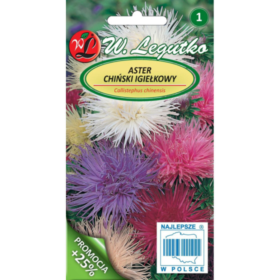 Asteres ķīnas adatu Mix , Asteru sēklas, Asteres, Adatu asteres