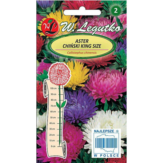 Asteres ķīnas peoniju King Size mixture, Asteres, Asteru sēklas