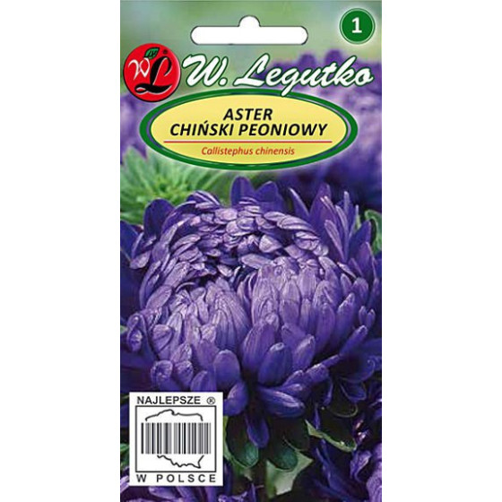 Asteres ķīnas peoniju violet, Asteru sēklas, Asteres