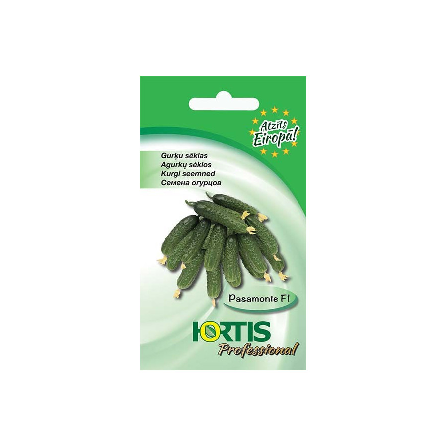 Gurķi Pasamonte F1, Gurķu sēklas Pasamonte, Pasamonte F1