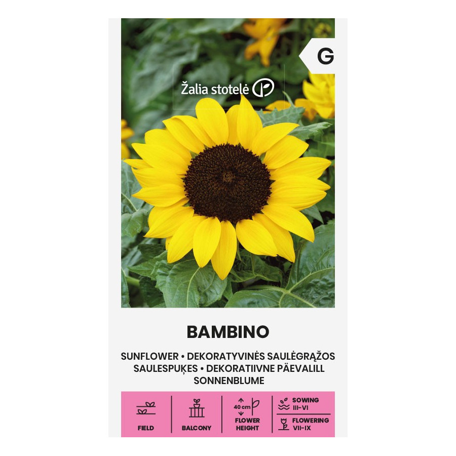 Saulespuķes Bambino, Saulespuķes, Saulespuķu sēklas