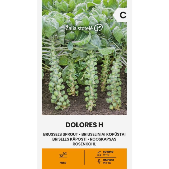 Briseles kāposti DOLORES H, Briseles kāposti, Briseles kāpostu sēklas