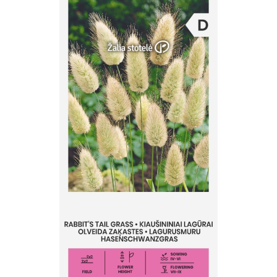 Zaķastes (Lauguras), lagura, zaķaste, zaķastes sēklas, graudzāles, Lagurus ovatus