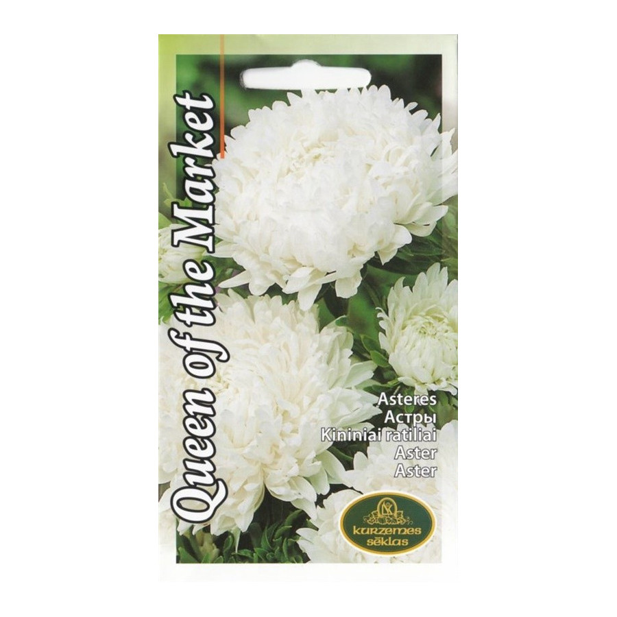 Asteres Queen of the Market white 0,5g (KS)