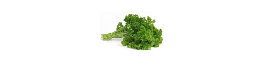 Pētersīļi
