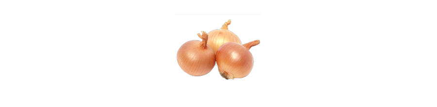 Sīpoli, Sīpolu sēklas, Sīpolu šķirnes, Loku sīpoli, Ziemas sīpoli
