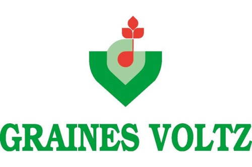 Graines Voltz